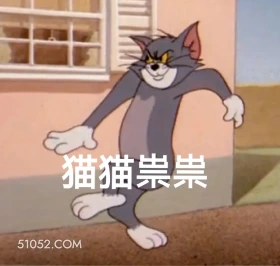 猫猫祟祟 猫和老鼠 动画片 汤姆猫 杰瑞 搞笑表情