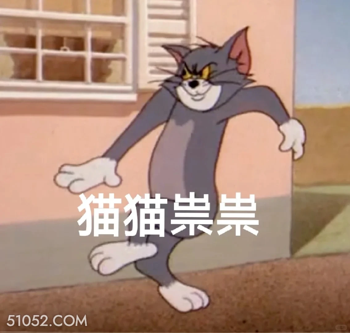 猫猫祟祟 猫和老鼠 动画片 汤姆猫 杰瑞 搞笑表情