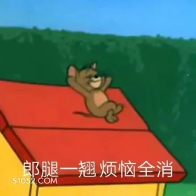 郎腿一翘 烦恼全消 猫和老鼠 汤姆猫 杰瑞 动画片 搞笑表情