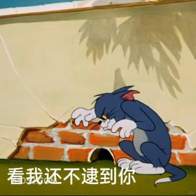 看我还不逮到你 猫和老鼠 动画片 杰瑞 汤姆猫 搞笑表情