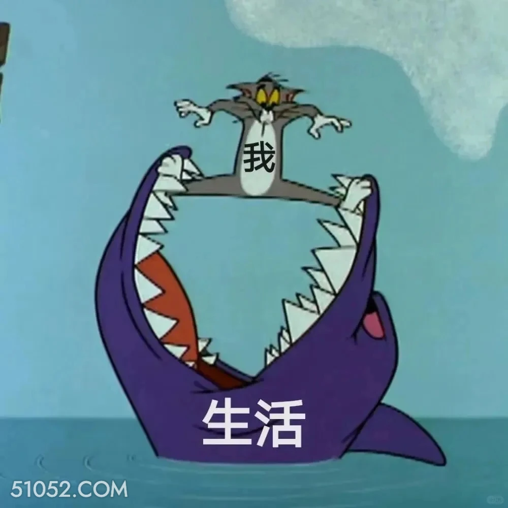 生活 我 猫和老鼠 动画片 杰瑞 汤姆猫 搞笑表情