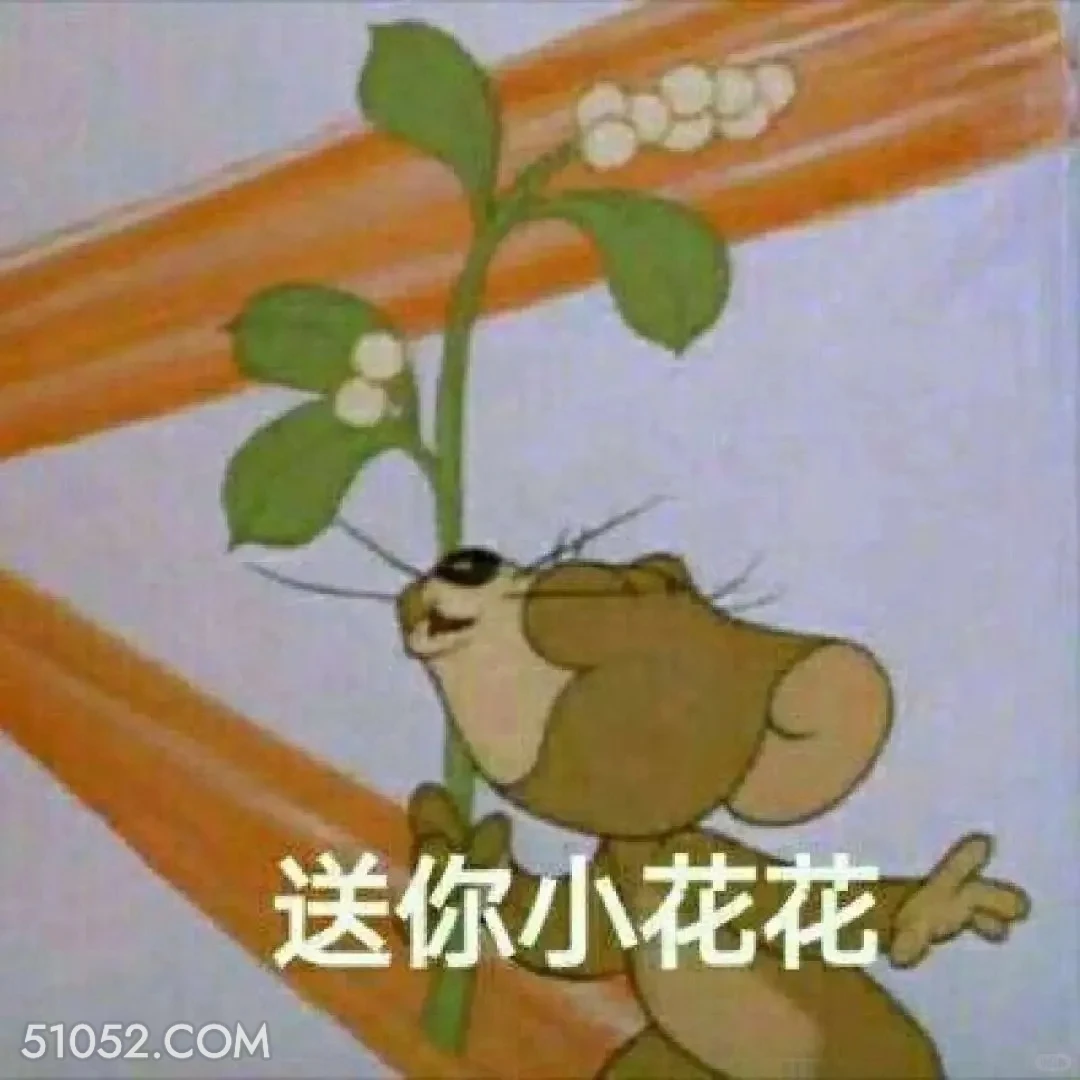 送你小花花 猫和老鼠 汤姆猫 杰瑞 动画片 搞笑表情