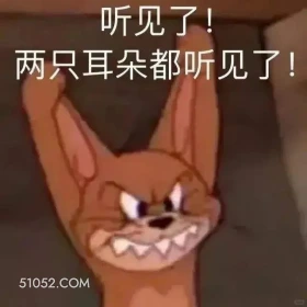 听见了，两只耳朵都听见了 猫和老鼠 动画片 杰瑞 汤姆猫 搞笑表情