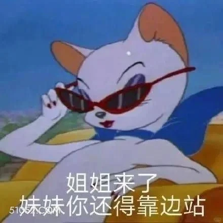 姐姐来了妹妹你还得靠边站 猫和老鼠 杰瑞 汤姆猫 动画片 搞笑表情