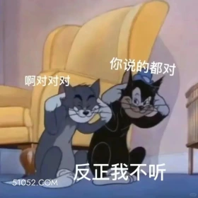 你说得对，但我不听 猫和老鼠 动画片 杰瑞 汤姆猫 搞笑表情