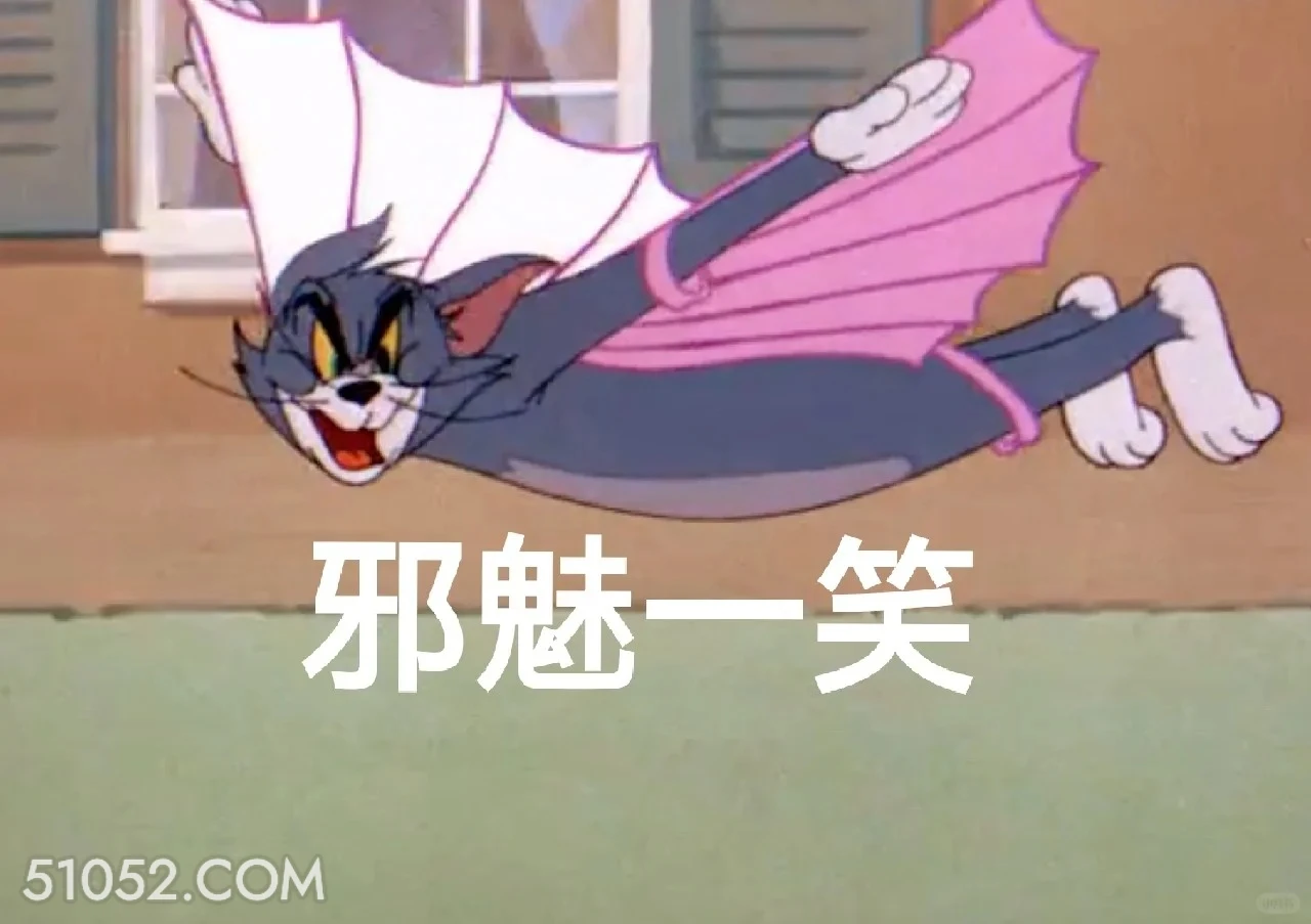 邪魅一笑 猫和老鼠 动画片 汤姆猫 杰瑞 搞笑表情