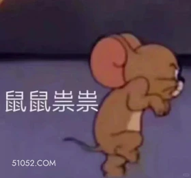 鼠鼠祟祟 猫和老鼠 动画片 杰瑞 汤姆猫 搞笑表情