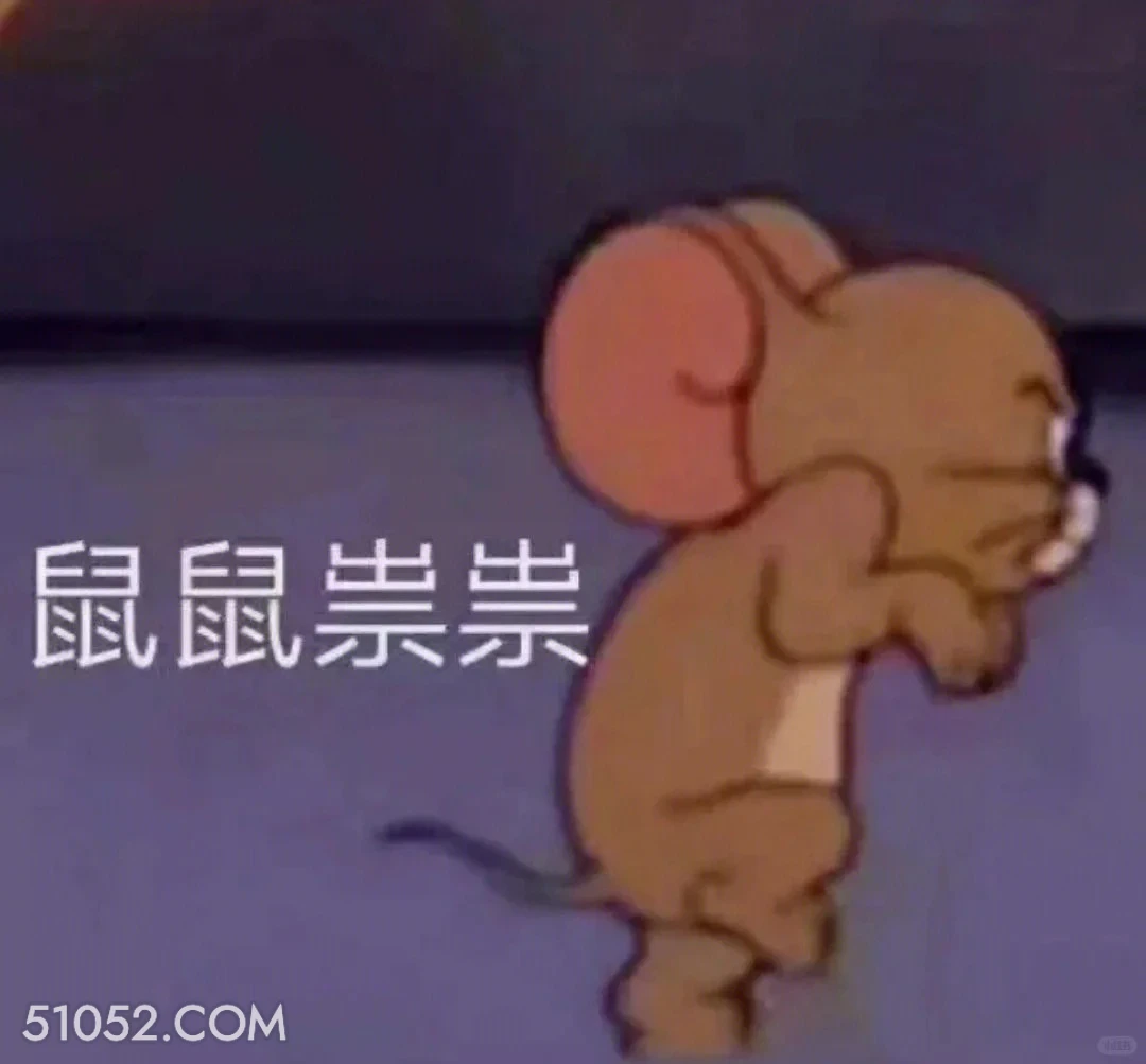 鼠鼠祟祟 猫和老鼠 动画片 杰瑞 汤姆猫 搞笑表情