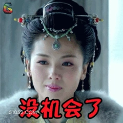 没机会了 明星表情包 刘涛 演员 搞笑表情