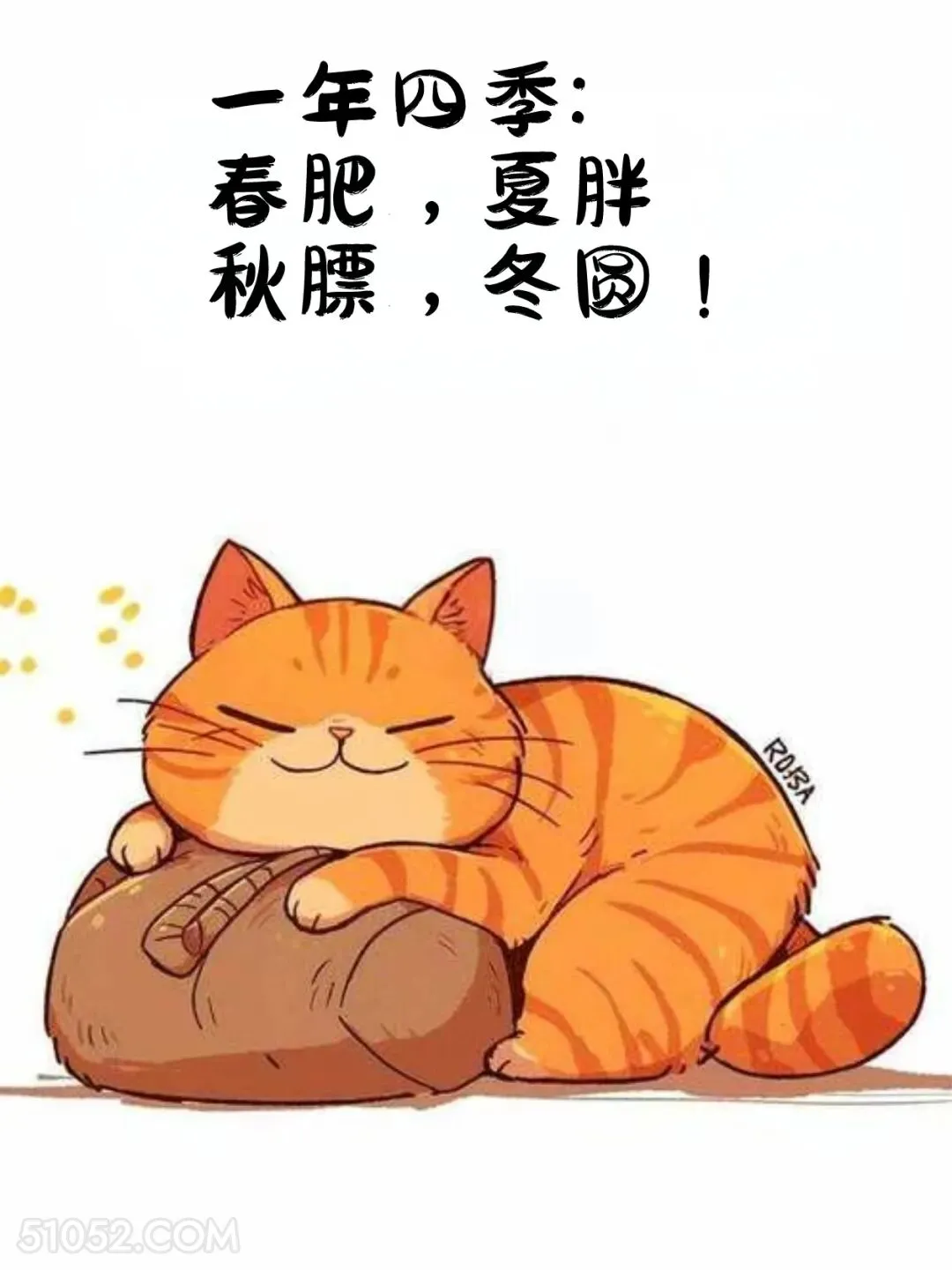 春肥，夏胖，秋膘，冬囤 猫猫 减肥 发朋友圈 搞笑文案