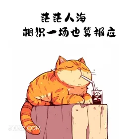 茫茫人海，相识一场也算是报应 猫猫 合理但有病 搞笑文案
