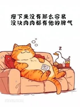 瘦下来没那么容易，每块肉都有它的脾气 猫猫 减肥 发朋友圈 搞笑文案