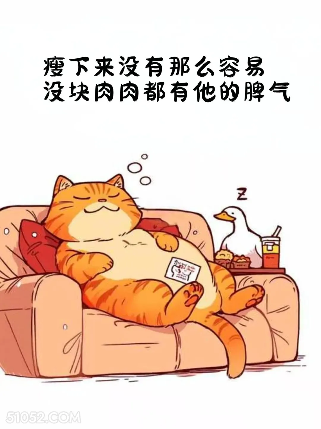 瘦下来没那么容易，每块肉都有它的脾气 猫猫 减肥 发朋友圈 搞笑文案