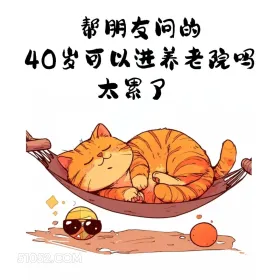 40岁可以选养老院吗 猫猫 合理但有病 搞笑文案