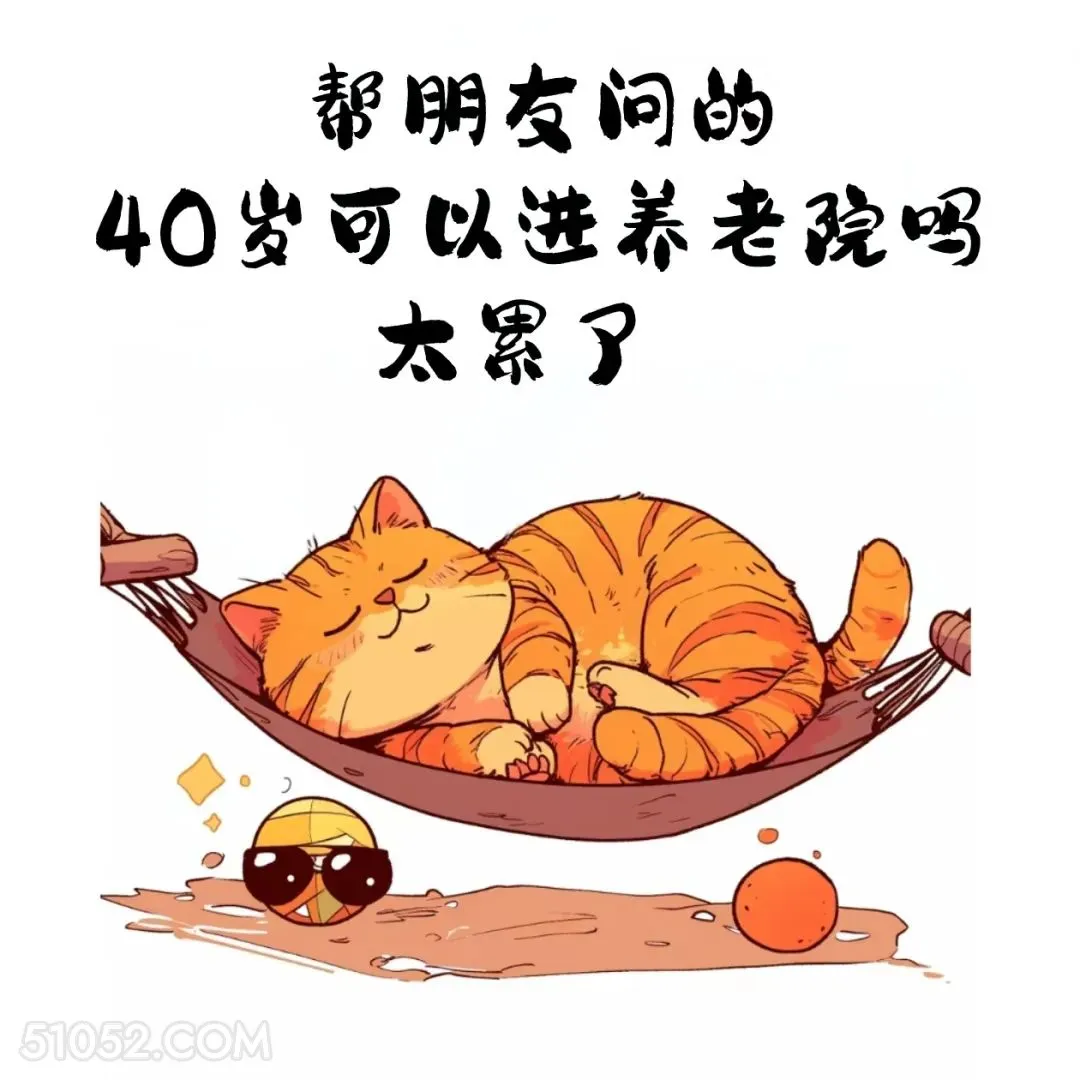 40岁可以选养老院吗 猫猫 合理但有病 搞笑文案