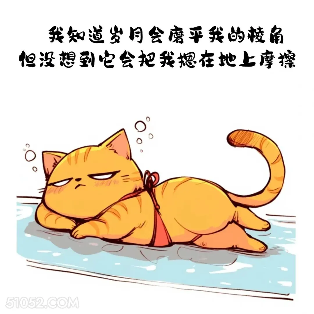 知道岁月会磨平棱角，没想到会把我摁在地上摩擦 猫猫 合理但有病 搞笑文案