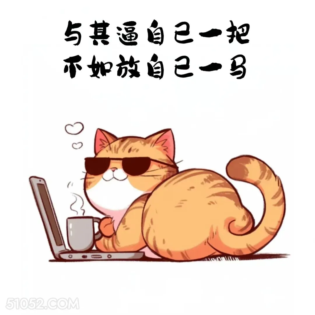 与其逼自己一把，不如放自己一马 猫猫 合理但有病 搞笑文案