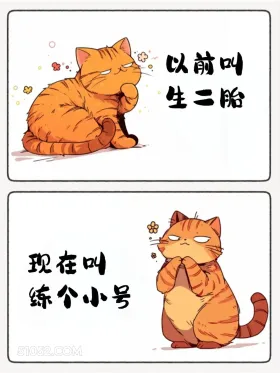 以前叫生二胎 现在叫练小号 猫猫 热梗 搞笑文案