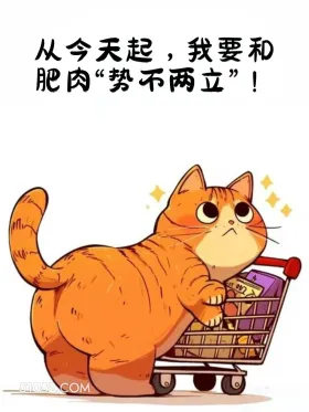 从今天起和肥肉势不两立 猫猫 减肥 发朋友圈 搞笑文案