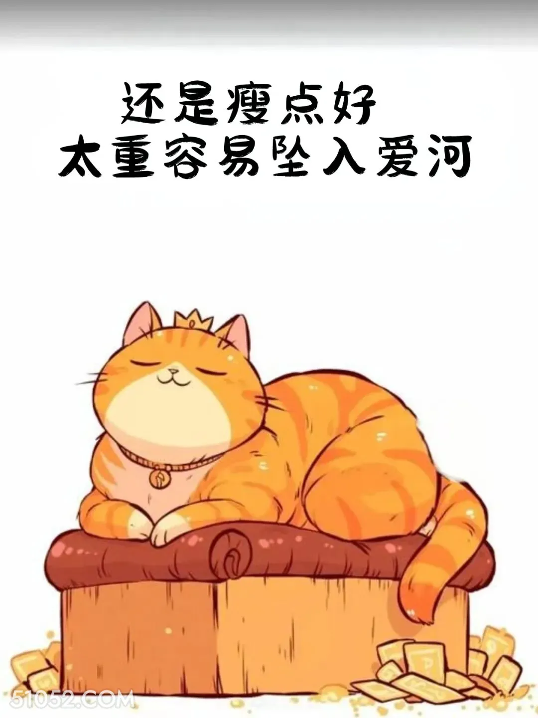 还是瘦点好，太重容易坠入爱河 猫猫 减肥 发朋友圈 搞笑文案