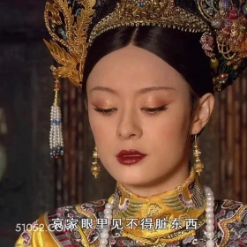 哀家眼里见不得脏东西 甄嬛传 影视追剧 雍正 搞笑表情