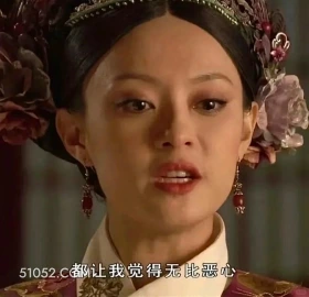 让我觉得无比恶心 甄嬛传 影视追剧 孙俪 雍正帝 搞笑表情