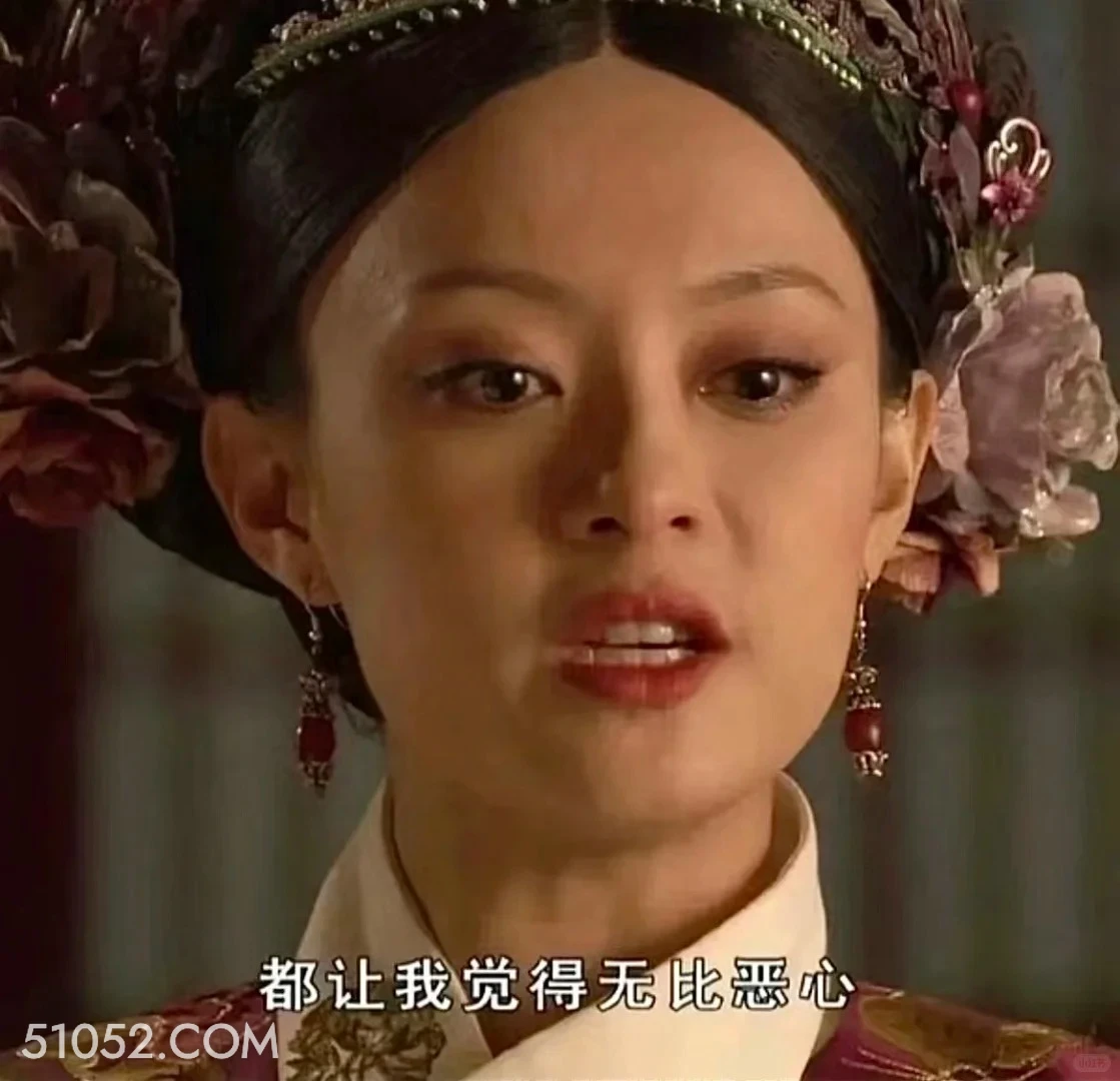 让我觉得无比恶心 甄嬛传 影视追剧 孙俪 雍正帝 搞笑表情