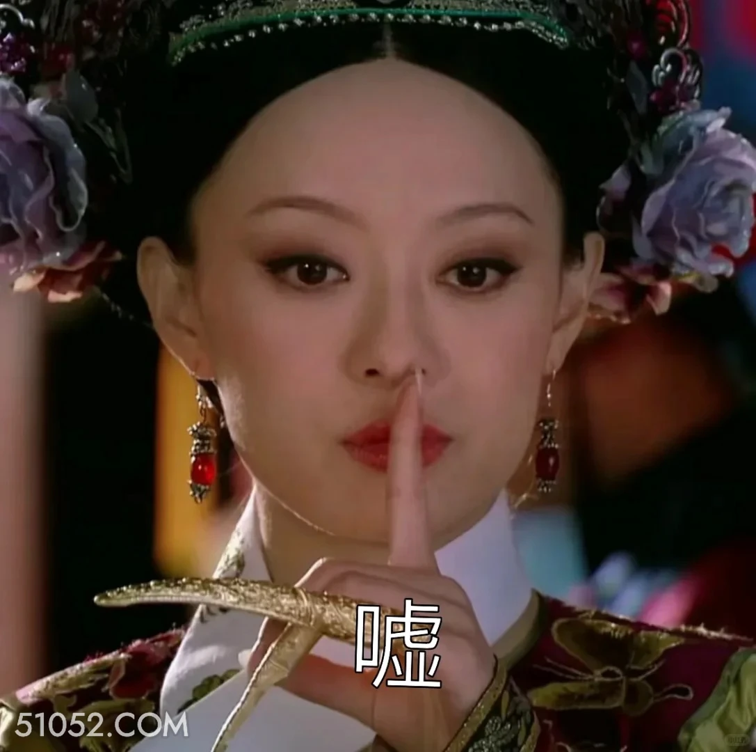 嘘 甄嬛传 影视追剧 雍正帝 孙俪 搞笑表情