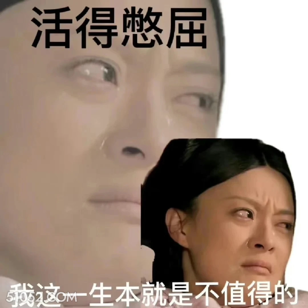 我这一生不值得 甄嬛传 影视追剧 雍正帝 孙俪 搞笑表情