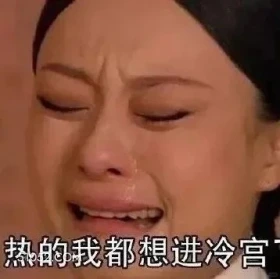 热的我想进冷宫 甄嬛传 影视追剧 雍正 搞笑表情