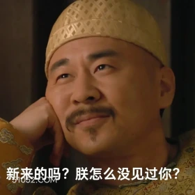 新来的吗，朕怎么没见过你 甄嬛传 影视追剧 搞笑表情 雍正帝 孙俪