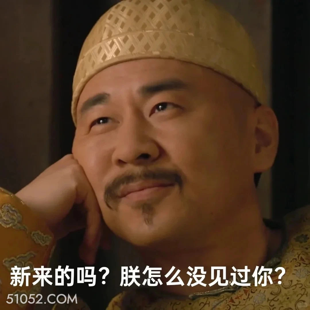新来的吗，朕怎么没见过你 甄嬛传 影视追剧 搞笑表情 雍正帝 孙俪