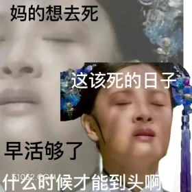 该死的日子什么时候到头 甄嬛传 影视追剧 雍正帝 孙俪 搞笑表情