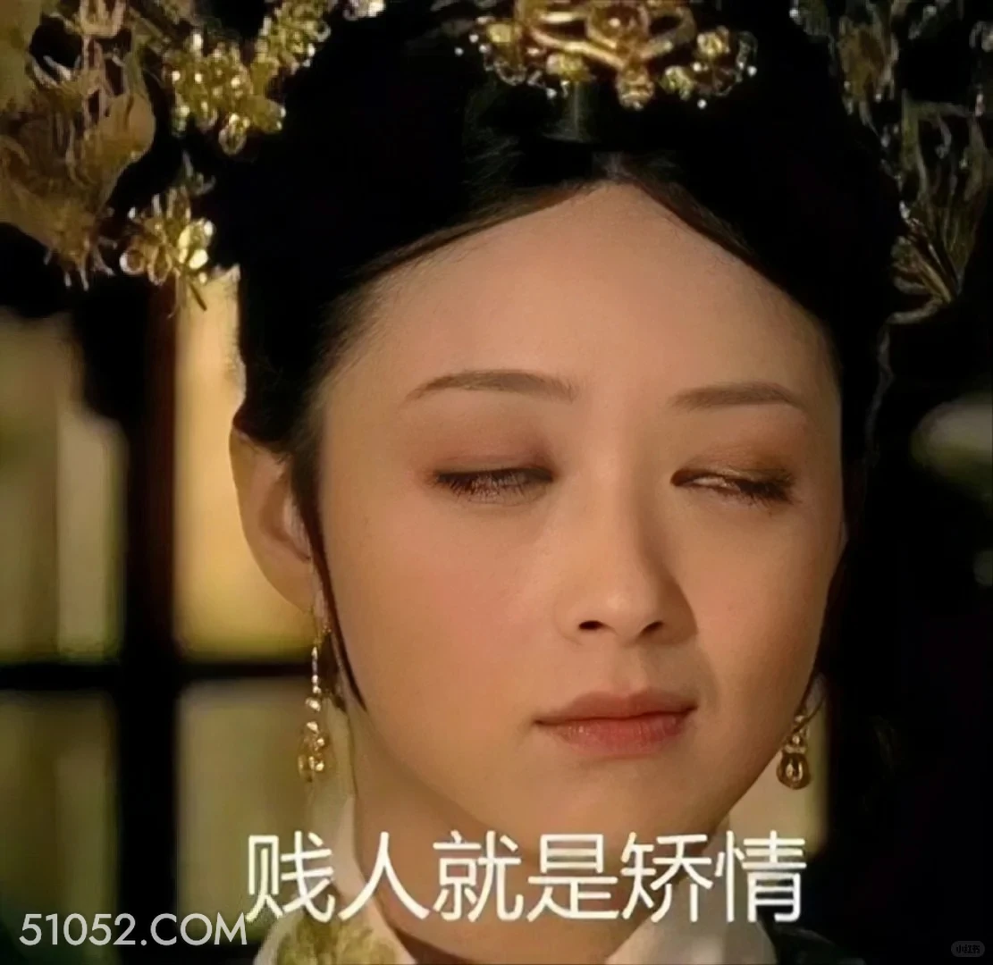 贱人就是矫情 甄嬛传 影视追剧 孙俪 雍正帝 搞笑表情