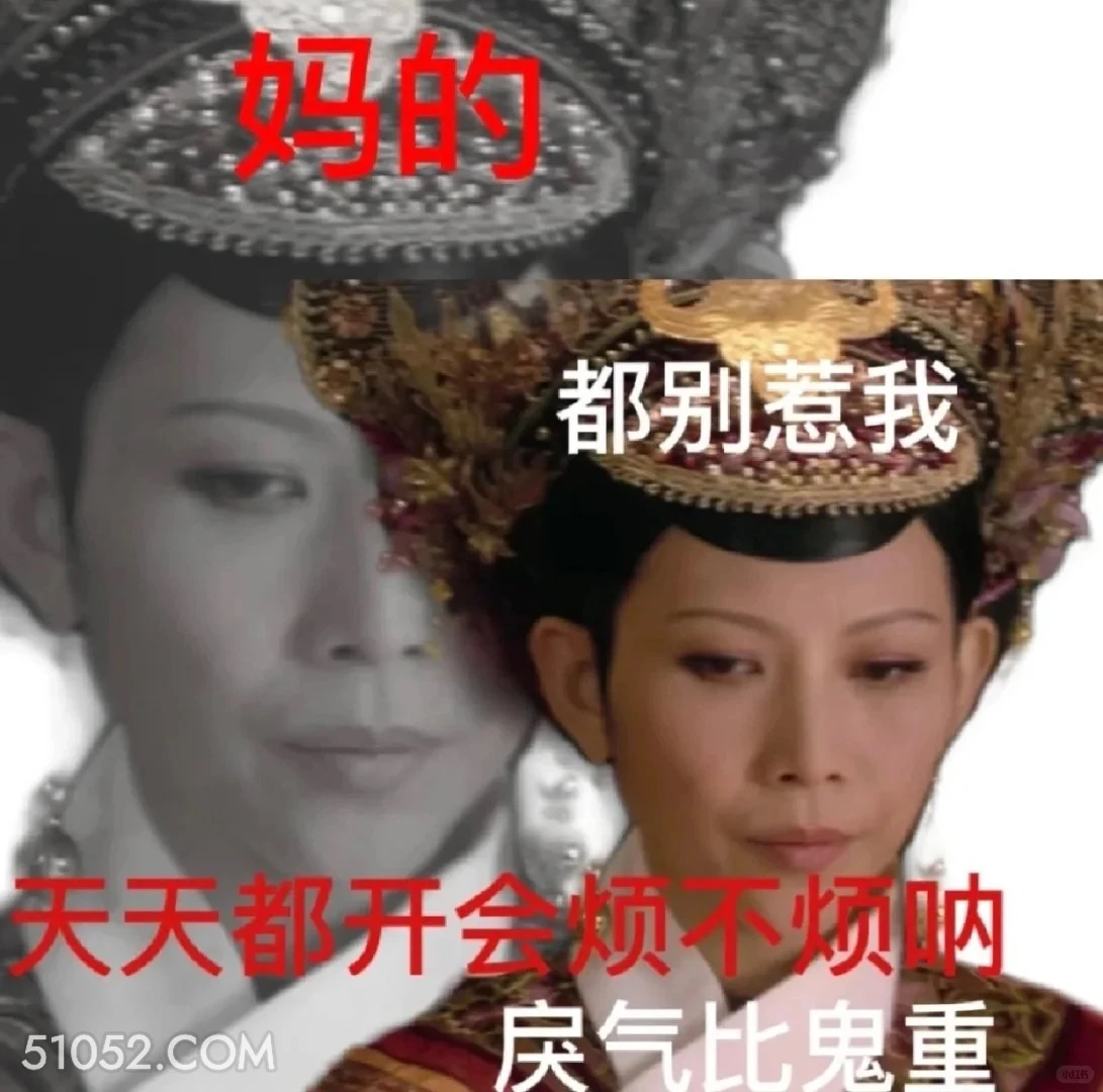 天天开会烦不烦啊 甄嬛传 影视追剧 雍正帝 孙俪 搞笑表情