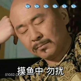 摸鱼中，勿扰 甄嬛传 影视追剧 雍正 搞笑表情