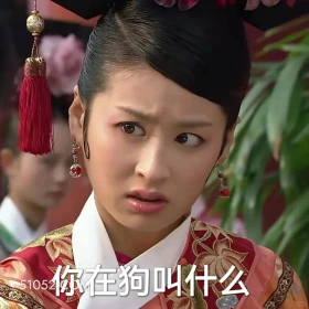你在狗叫什么 甄嬛传 影视追剧 雍正帝 孙俪 搞笑表情