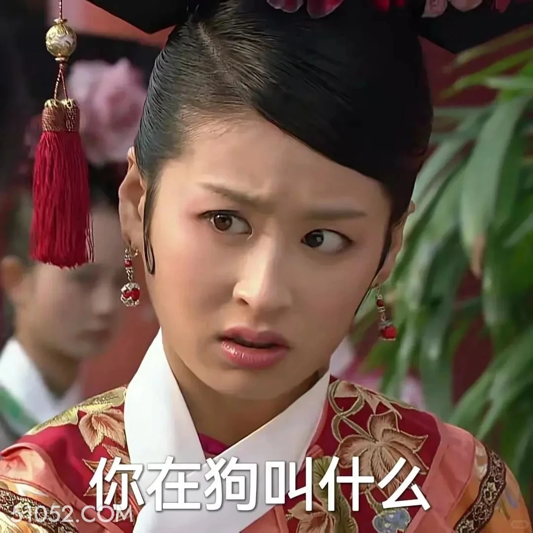 你在狗叫什么 甄嬛传 影视追剧 雍正帝 孙俪 搞笑表情