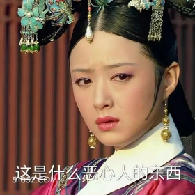 这是什么恶心人的东西 甄嬛传 影视追剧 孙俪 雍正帝 搞笑表情