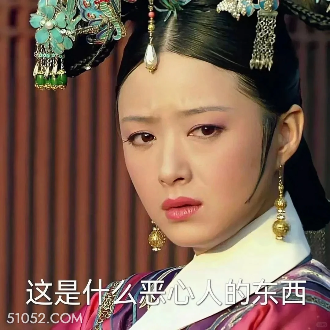 这是什么恶心人的东西 甄嬛传 影视追剧 孙俪 雍正帝 搞笑表情