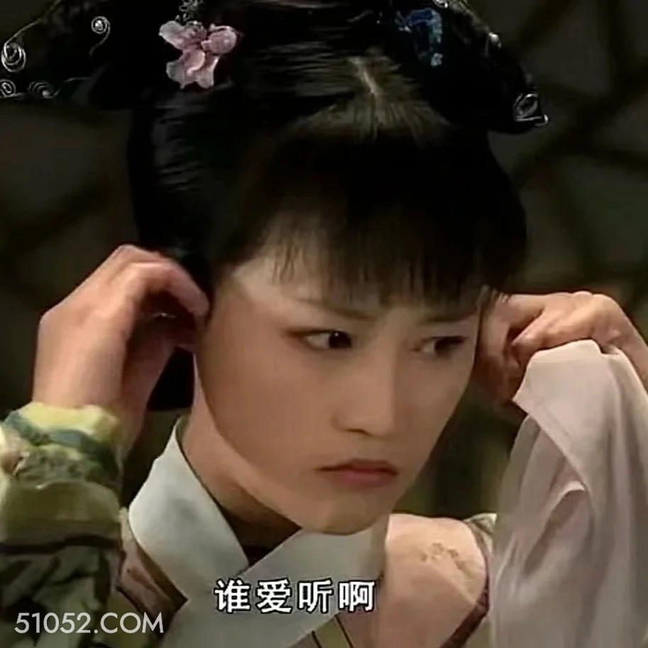 谁爱听啊 甄嬛传 影视追剧 孙俪 雍正帝 搞笑表情