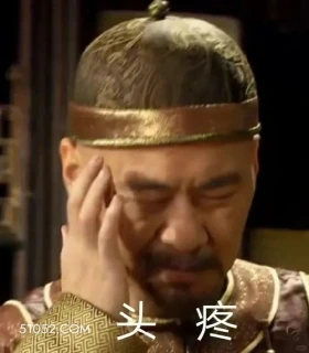 头疼 甄嬛传 影视追剧 搞笑表情 雍正帝 孙俪