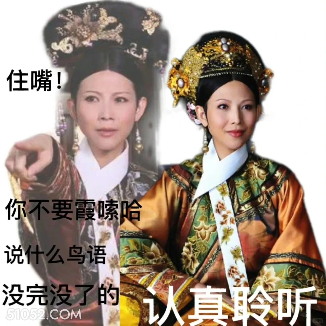 说什么鸟语 甄嬛传 影视追剧 雍正帝 孙俪 搞笑表情