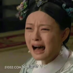 终究是错付了 甄嬛传 影视追剧 雍正 搞笑表情