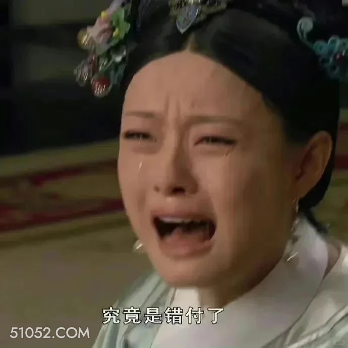 终究是错付了 甄嬛传 影视追剧 雍正 搞笑表情