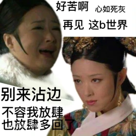别来沾边 甄嬛传 影视追剧 雍正帝 孙俪 搞笑表情
