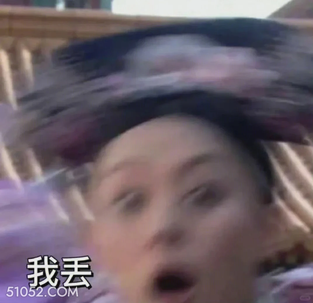 我丢 甄嬛传 影视追剧 雍正帝 孙俪 搞笑表情