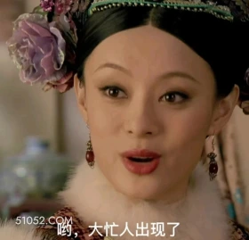 哟，大忙人出现了 甄嬛传 影视追剧 孙俪 雍正帝 搞笑表情