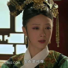 实在可恨 甄嬛传 影视追剧 雍正帝 孙俪 搞笑表情