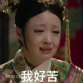 我好苦 甄嬛传 影视追剧 孙俪 雍正帝 搞笑表情